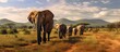 Elephants walking along rugged path in wilderness