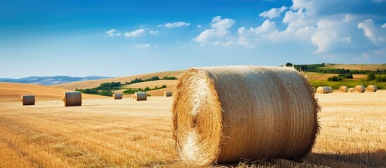 Aufkleber - Hay bale field sky closeup