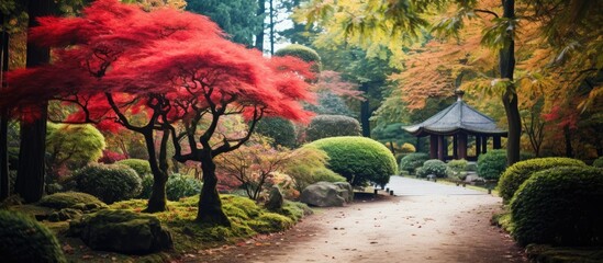 Poster - Pathway through park with lush trees and shrubs