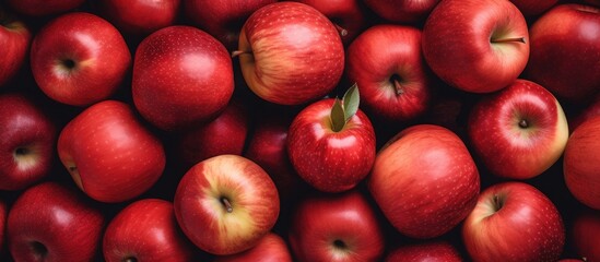 Poster - Pile of ripe apples with green foliage