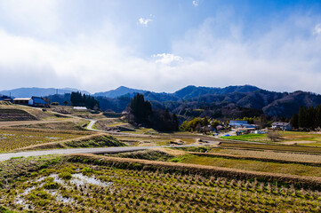 Canvas Print - 日本の原風景　大岡の棚田の春