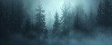 Fototapeta  - Misty forest at dusk with silhouettes of pine trees