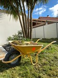 Fototapeta  - brouette d'herbe, travaux de jardinage au printemps