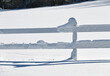 Snow Stuck to Fence