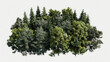 aerial view of woods, isolated, transparent