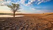 Tranquil environment disturbed by drought