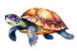 turtle wearing glasses, illustration, turtle day, may 23, isolated on transparent background, travel concept.