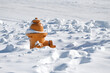 Hydrant in the Deep Snow