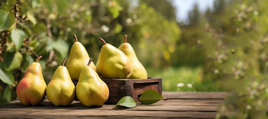 Pear Serenade A Close Up Ode to Green Juiciness
Fresh picked green pears in antique aluminum generative by ai..