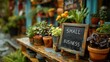 Sprout & Sign: A Small Business Oasis