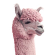 A pink llama with a fluffy head coat