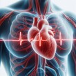 human heart shape with red cardio pulse line.