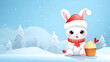 Cute and funny bunny  costume Christmas animal background ice floor with ice cream box 