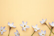 Flowers composition. Spring blue flowers on beige background.