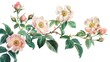Vintage artwork featuring several types of roses