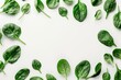 Spinach leaf frame on white background isolated Creative food concept salad ingredient Flat lay top view