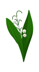 Poster - Lily Of Valley Flower