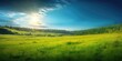 © AlexandraRooss - Serene Summer Landscape with Lush Green Fields and Vibrant Sky Generative AI