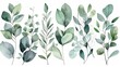Elegant Eucalyptus Leaf Border Watercolor Illustration Generative AI