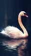 Swan in Low Poly Style on Dark Background Generative AI