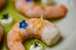 Gourmet meal shrimps in green herb oil
