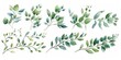 Watercolor Floral Illustration Set - Green Leaf Branches for Wedding Stationery Greetings Generative AI