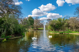 Fototapeta Desenie - Panorama of the flower garden park pond in the Blackheath village in the spring season in London, Borough of Lewisham, UK