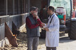 Veterinarian and farmer in cowshed