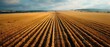 Golden Furrows: A Harmony of Earth and Sun in Minimal Tillage. Concept Agricultural Innovation, Reduced Tillage Methods, Soil Health Benefits, Sustainable Farming Practices