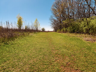 Sticker - Wide open outdoor space with a lush green grassy path running through a flat field. Clear blue skies overhead. Captured at springtime.