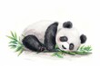 Tranquil illustration of a sleeping panda, with soft colors and green bamboo, evoking calmness and comfort