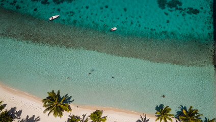 Wall Mural - Aerial View of South Pacific Tropical Beach 