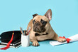 Cute French Bulldog with mortar board, diploma, books and stationery supplies on blue background