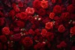 Amidst the Floral Splendor: A Tapestry of Ruby Red Ros