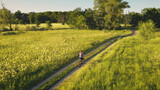 Fototapeta Natura - Traveler girl ride on bicycle at green grass field aerial. Summer nature landscape. Leafy forest at countryside grassy meadow. People active sport. Recreation vacation at rural Kyiv, Ukraine, Europe