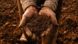 Close-up of a farmer's calloused hands holding a handful of rich soil