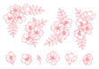 Set of Cherry blossom flower design element