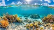 Expansive view of a Caribbean coral reef, AI Generative