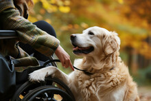 Witness The Uplifting Connection As A Service Dog Provides Invaluable Companionship To A Person With Disabilities. A Touching Display Of Support And Love. AI Generative .