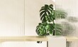 Gold luxury counter table podium, monstera plant, reeded fluted glass partition in sunlight on beige wall for modern, elegant fashion, beauty, cosmetic, skincare, body care, product background 3D