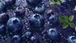 Fresh ripe blueberries with water drops background. Berries backdrop