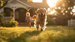 A dog runs towards the camera on the grass in the front yard.