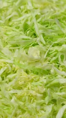Wall Mural - shredded cabbage for salad close up