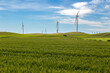 Wind generating towers in a wind farm surrounded by green meadows, showing the integration of renewable energy generation with the natural environment