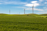 Fototapeta Młodzieżowe - Wind generating towers in a wind farm surrounded by green meadows, showing the integration of renewable energy generation with the natural environment