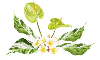 Wall Mural - Summer tropical bouquet with anthurium flower, plumeria, variegated leaves. Vector illustration on a white background.