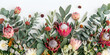 Beautiful rustic flat lay flower arrangement with banksia’s and protea’s mockup for text isolated on white background Beautiful floral border of proteas and eucalyptus leaves