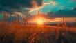 Grass field at sunset : Landscapes. AI Generative.