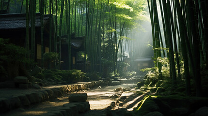 Wall Mural - bamboo forest in the morning.