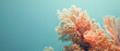 Banner of a minimalist representation of a ocean coral, with empty copy space